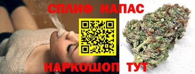 spice Обнинск