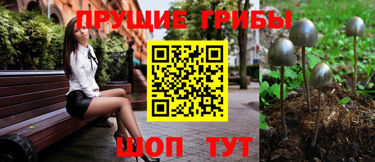даркнет сайт  Вход с VPN  Псилоцибиновые грибы Psilocybine cubensis  Трёхгорный  Псилоцибиновые грибы мицелий 